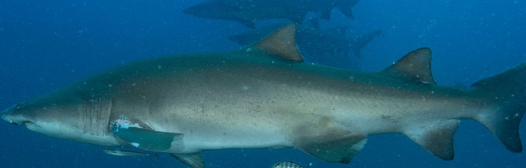 89296151-fc04-4ef8-8101-4591b6dc3b11