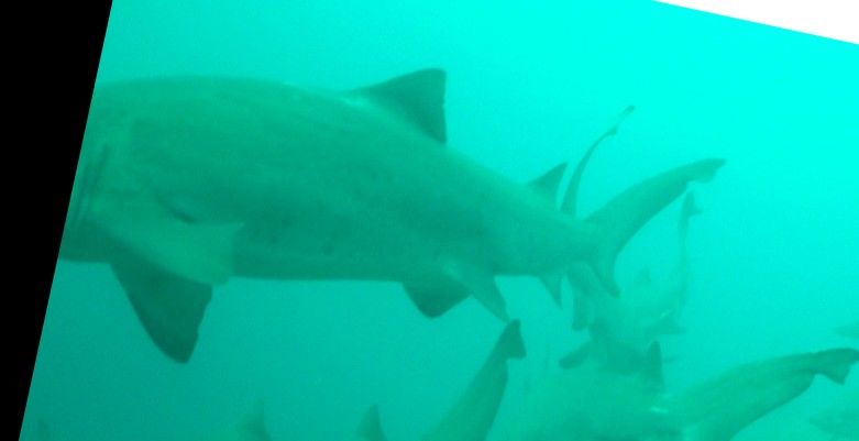 ae6194f5-fa4f-4ff1-8bbd-a49d110953a8