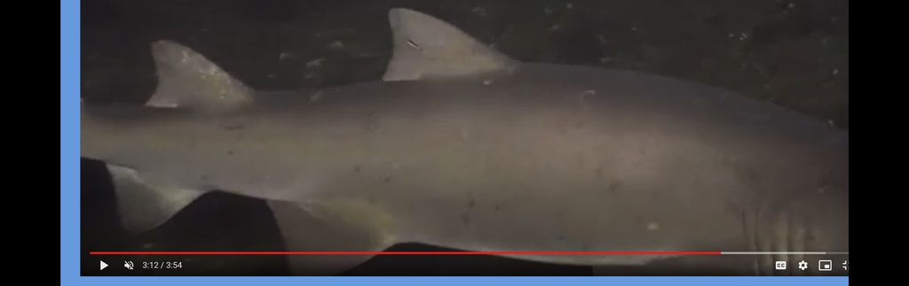 43a1a0c2-7675-42b5-8863-cb608e2bd49f