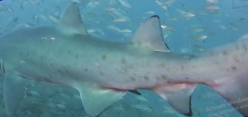 9b903b2a-d6bf-4d74-9327-c6abcb94b15c