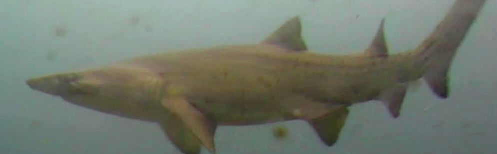 c871ff20-ef84-4fc9-a1e3-9adaf2e63f4b