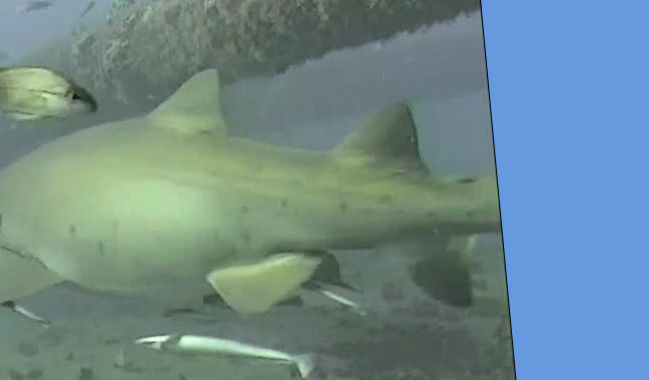 4105e306-b31f-4772-ad10-ba949726f565