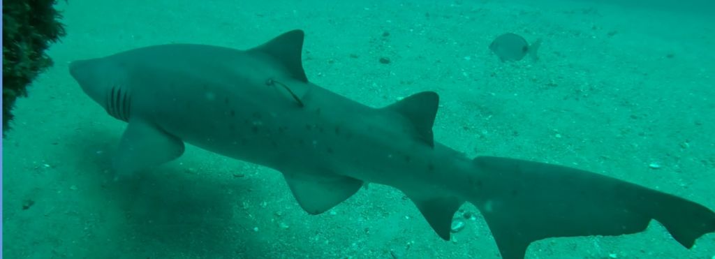 7518e31e-2f15-4bcd-8d34-d0ad6fc19f44