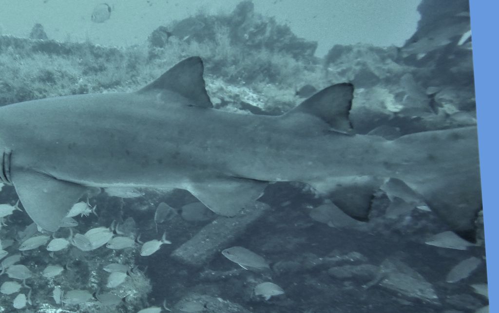 1980c769-0d7e-4aa0-b048-1e3e40d05e64