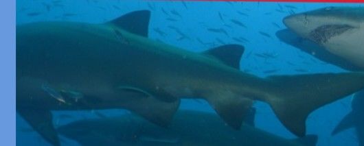 508be9c9-6f23-4f4d-966a-b98b636d8843