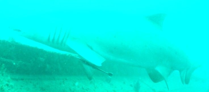 356f48fc-21eb-4e6e-b738-c570ac76b69f