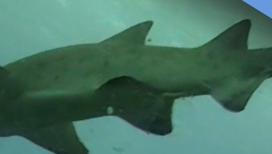 d78adbbe-08d7-47fc-b6ee-b9a6372f545a