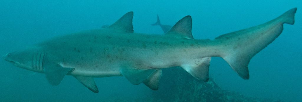 01c67783-120a-46e4-82fe-2f8075f2c025