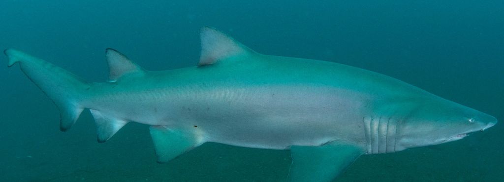 b2c8e56e-b74a-4c6a-a66d-4a3dd82f3c7c