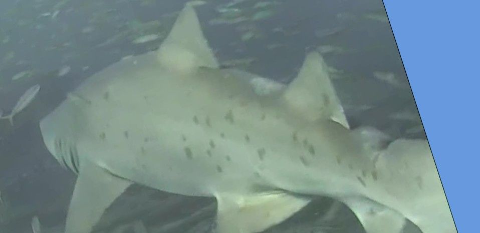 9b72d599-a594-497a-9324-b85d884158fa