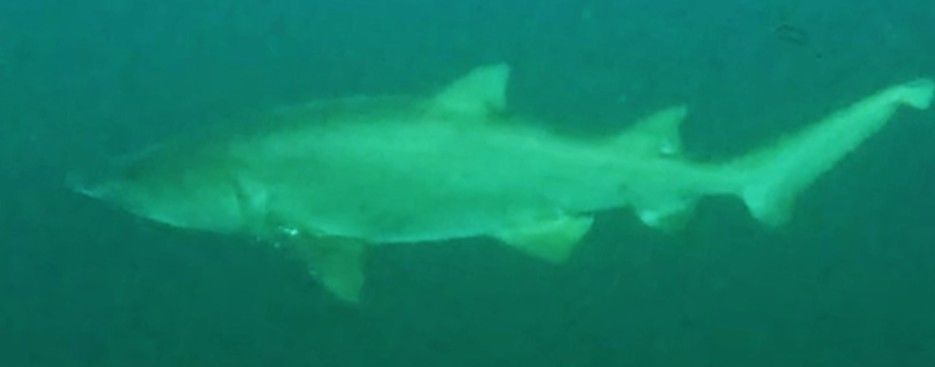 27006890-01ee-448d-8964-b1a9e8502bc5