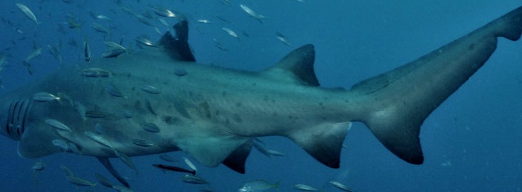 ce91a0b4-2111-4e9c-a449-153472922caa