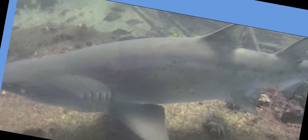 e402b7da-723d-494c-93ea-ecbf7d591e79