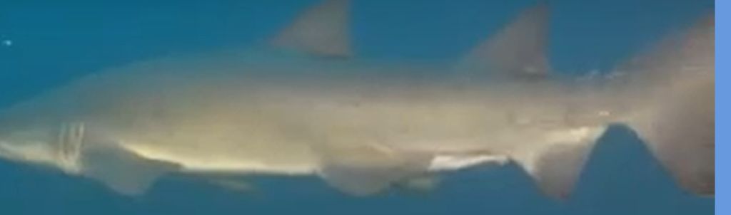 2b92e97b-ac06-4a57-9d45-8023b8d39101