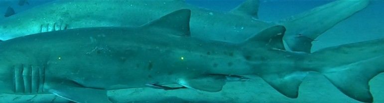 1d7c7480-0790-4418-bf28-519ec59cd98b