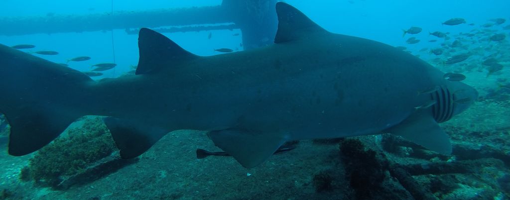 3b34b7d0-ba95-438a-875c-38d45ef61f80