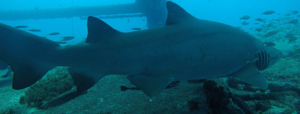 3b34b7d0-ba95-438a-875c-38d45ef61f80