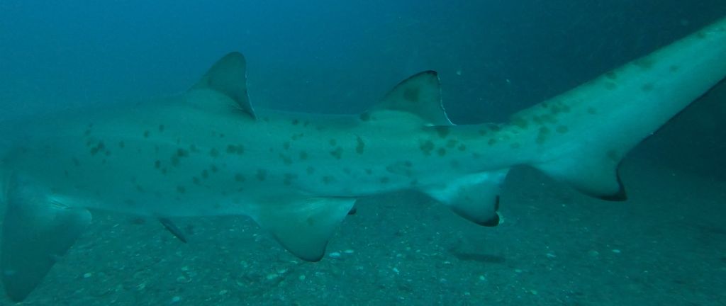 ae2d5d42-baee-4459-a3d8-f9b58044348f