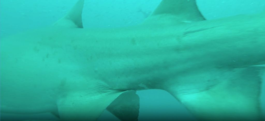 b0f23934-0443-4aab-80b5-9fb3014ce090