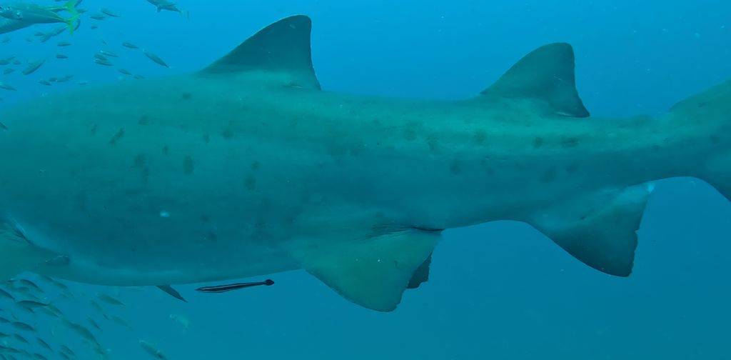 b17c7f61-cd57-4dc4-a773-303e8afbcd99