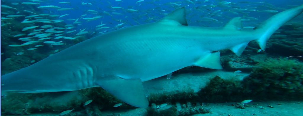 16fdbf5b-6222-49a6-a648-168ea637751f