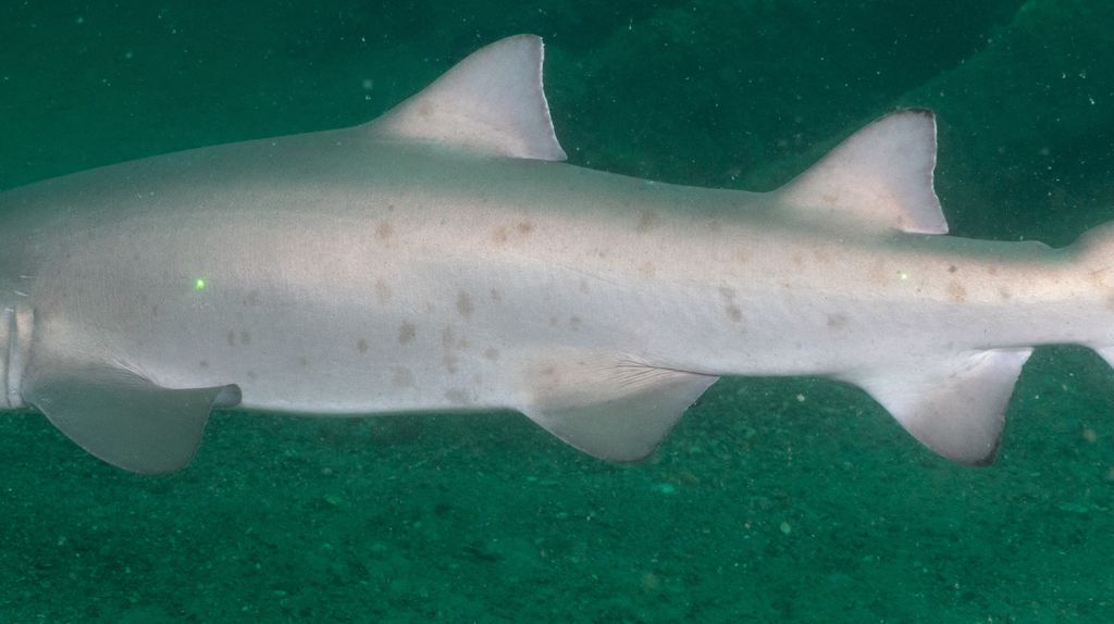 8c19cb28-d457-4d6e-b4be-5d934a9125ba