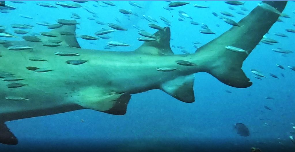 381f6204-24a2-42ef-8046-65d9e76a849b