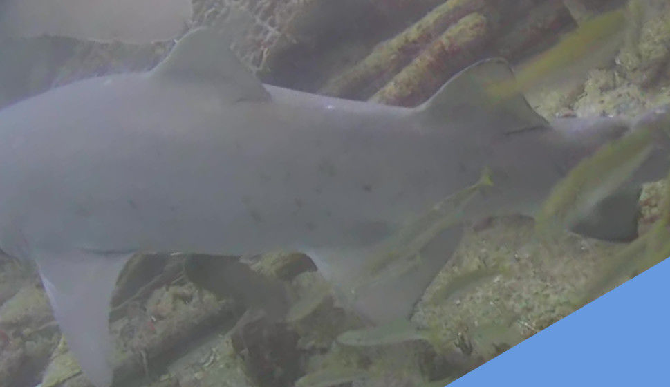 d3f8da20-1fda-4084-aaa8-e27028c24814