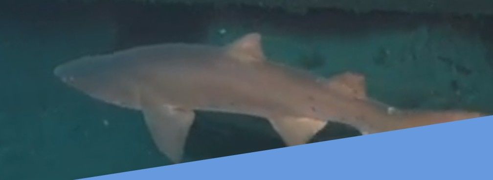 9444a844-7870-48b4-88f8-de50f4a07ed3