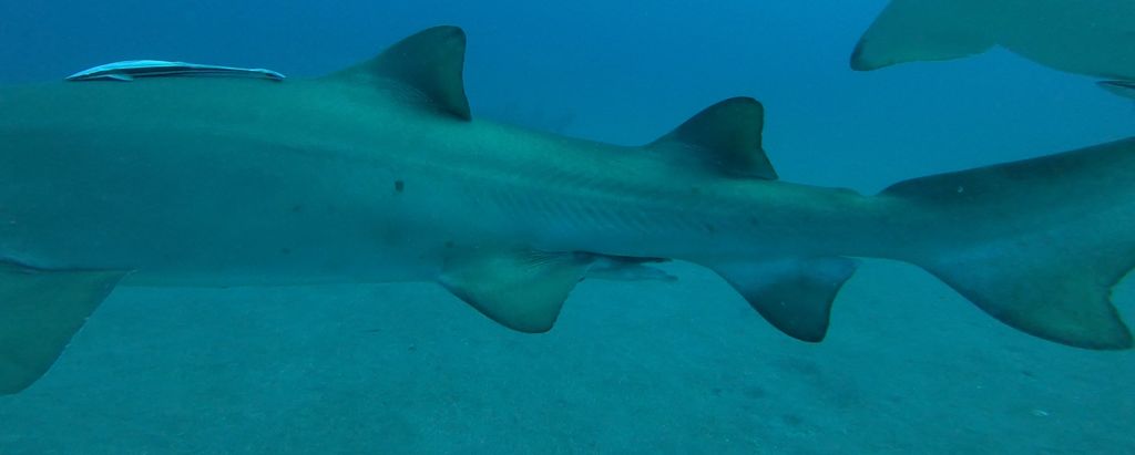 24abe8b3-93c2-46af-99fb-59c4fa2cf86f