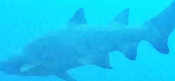 53481ef7-82d8-4a1e-a9f8-872b90085ea0