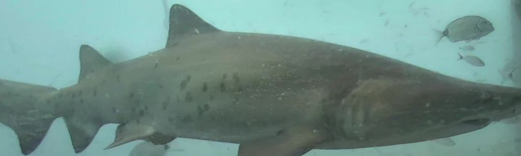 2da79c4a-0840-4915-a245-77d44484dc50