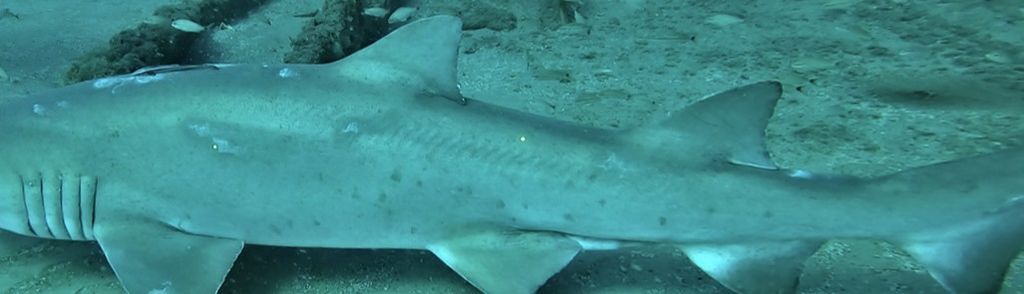 61c4ef49-50f1-4594-aa0d-a12b6f56ecd6