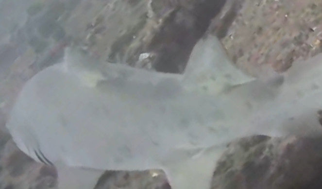 44d8f767-3dff-4710-9a51-4cacdd3109c0