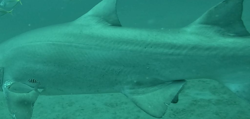 422b2c34-931e-449a-9de3-c82ae35debe1