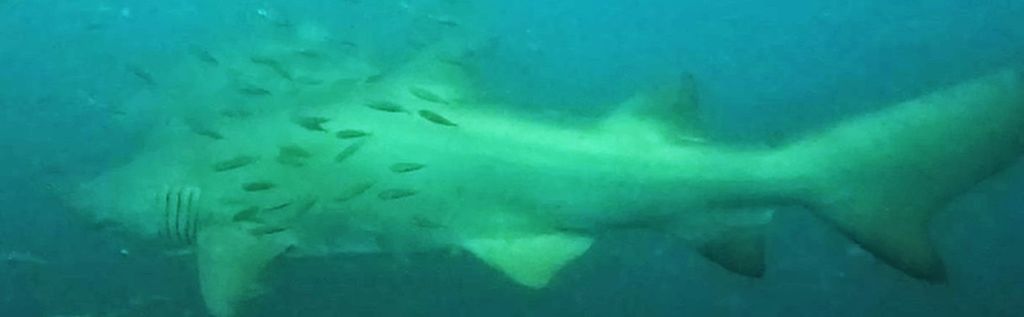 07eef75c-2697-409e-b9eb-c6b7ec52007d