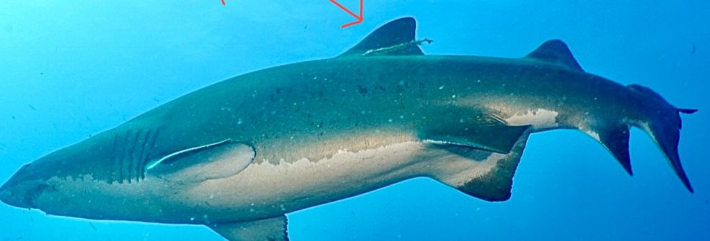 556bdf4b-ac83-4360-90f7-dd9023ed7ded