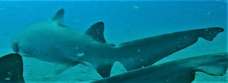 d712e430-66af-4523-9ea9-28d775872e9c