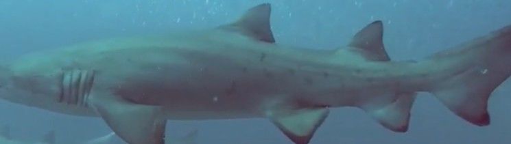 93b93c67-d8f5-422a-9efb-f92f3bd1d452