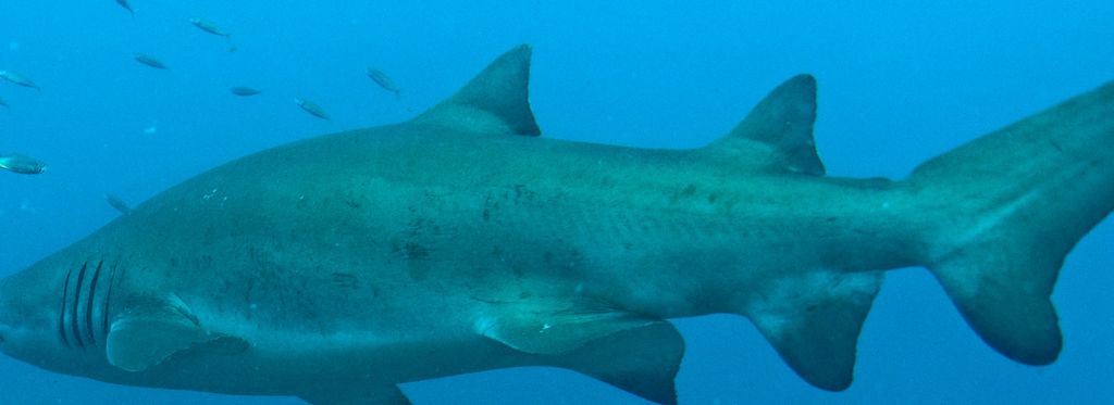 a5c8b0f3-591e-40e9-b98f-f8f7067b546e