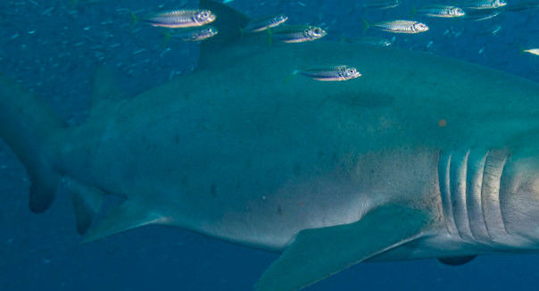 5cb15cd6-67d7-4580-94d5-93af68df470e