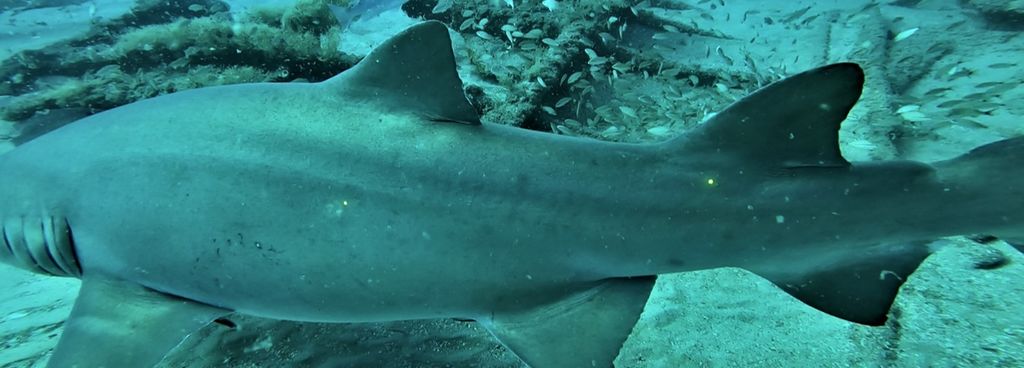 04025098-78e3-4913-b17c-4511ef0c30ee