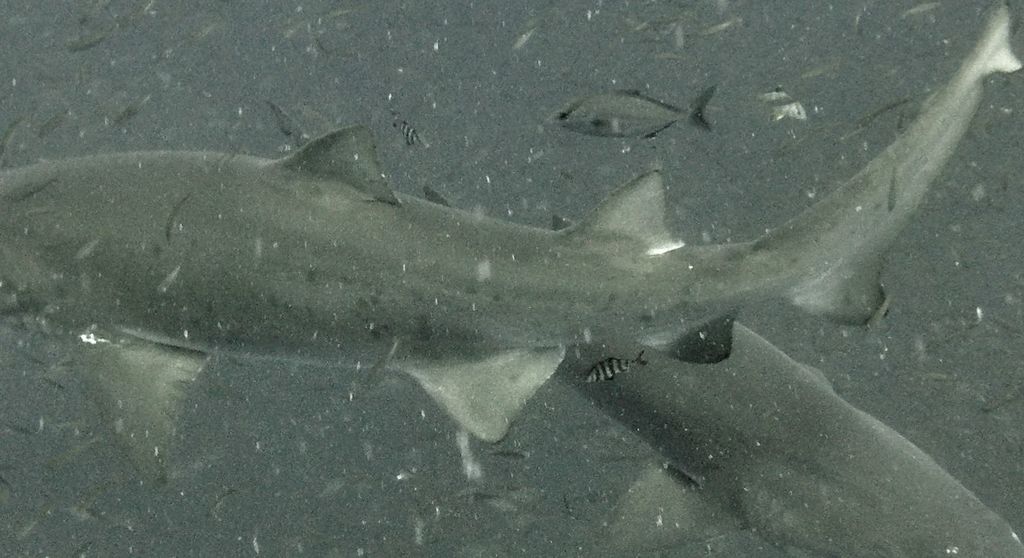 07147e25-1e63-4054-ab8f-ac1c5b191ba2