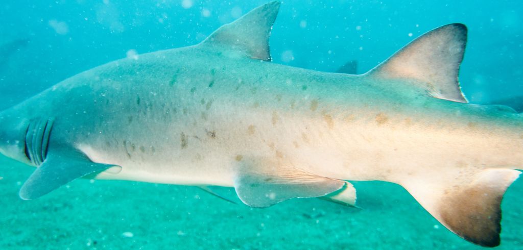 4a5e62f5-168c-4280-96f9-e00f33a24df2