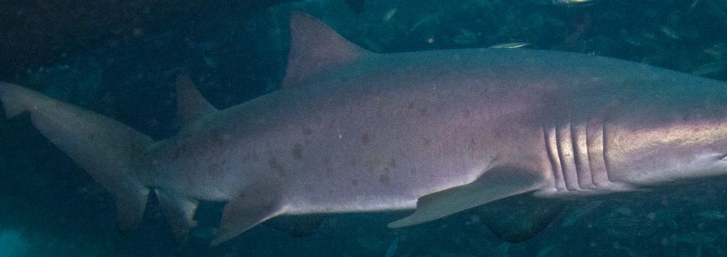 54fb0907-9ce7-4238-a9f4-b67361c6689a