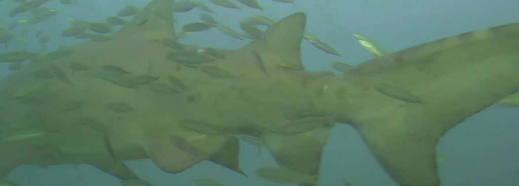 0371442b-3e57-486a-9f12-ad2614784f3f