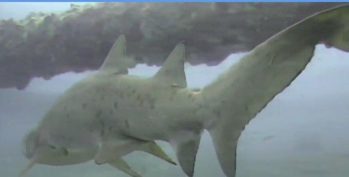 b49dbfa9-3955-4cc0-bf40-021fcc88e60f