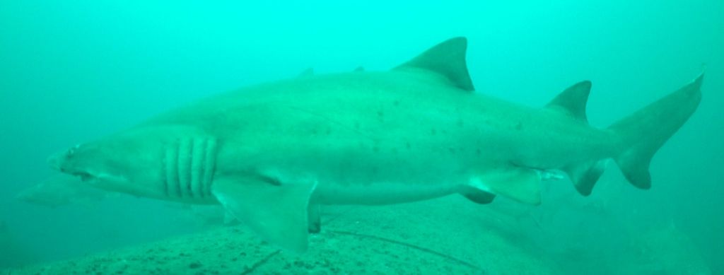 2e34bae2-eeff-430d-9d05-a6589b52eb47