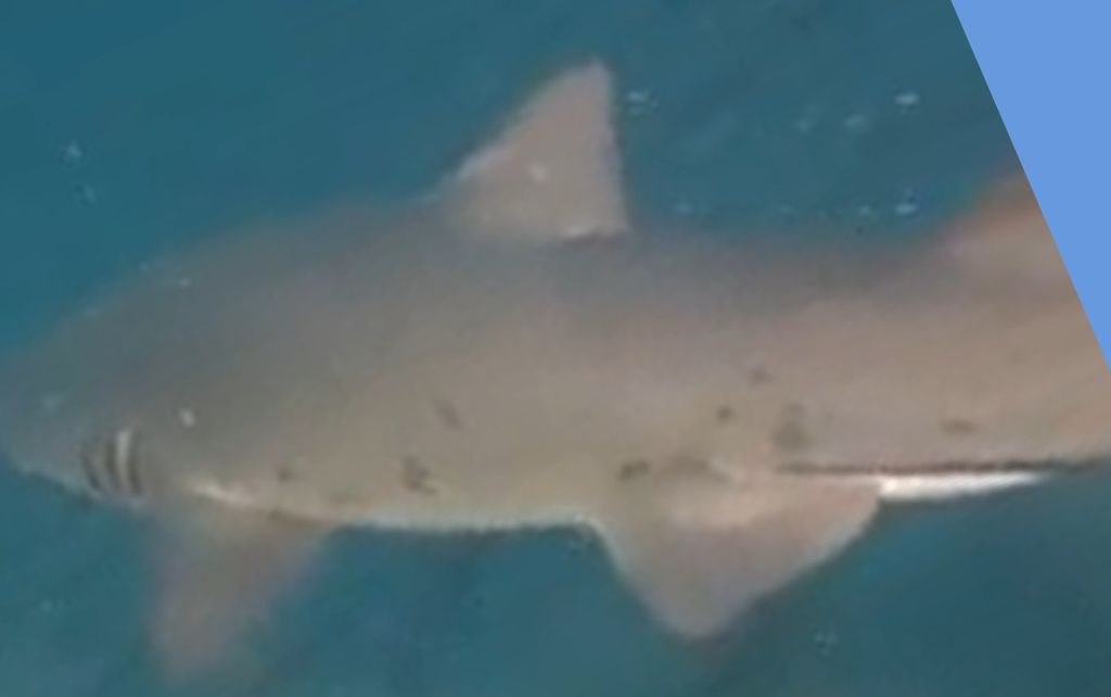 4aee2297-5168-4822-a062-26671280e308