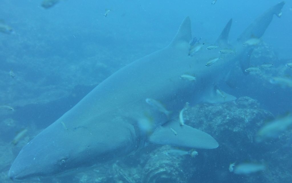 342dfbcf-9e45-4189-b8dd-18853d275308